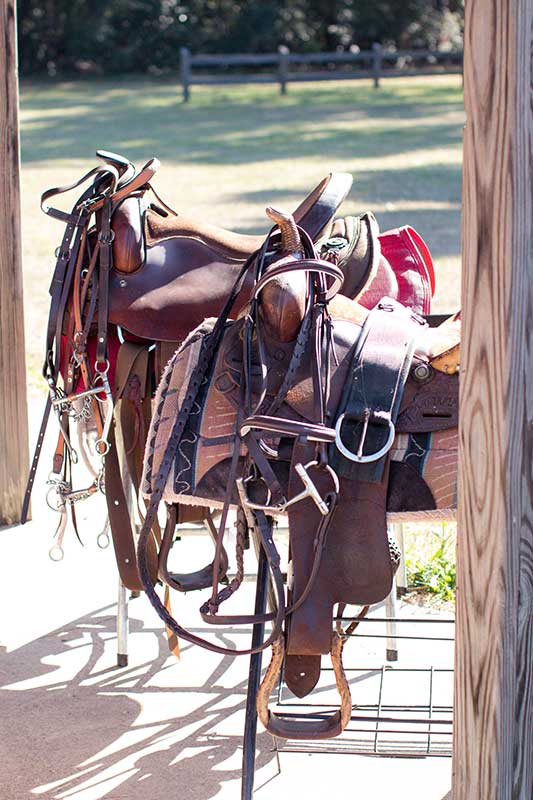 horse saddles
